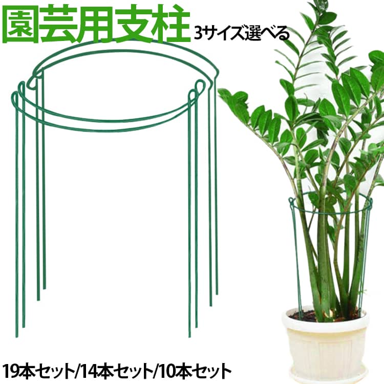植物の茎や葉を支えてまっすぐ成長させるフラワーガードです。植物同士が絡み合ったり、曲がって成長してしまうのを防いでくれる、園芸マストアイテムです。鉄製の丈夫な2本の軸がしっかりと支えてくれるので、葉の量が多くても◎土に直接差し込むだけで簡単に設置できるので、女性や高齢者の方でも扱いやすくなっています。また、ジョイント不要で、複数本重ねて円を作ることもできる優れものです。 サイズ 20*35cm（19本セット） 25*40cm（14本セット） 30*50cm（10本セット） サイズについての説明 20*35cm 25*40cm 30*50CM※数多い注文（オーダ）をご希望の場合、ご注文前にカスタマーサポートへ連絡し、単価の調整をご相談ください。（オーダ前先1点発注して品質感など確認済み後再オーダ勧めです） 素材 鉄 色 写真通り 備考 ●サイズ詳細等の測り方はスタッフ間で統一、徹底はしておりますが、実寸は商品によって若干の誤差(1cm～3cm )がある場合がございますので、予めご了承ください。 ●製造ロットにより、細部形状の違いや、同色でも色味に多少の誤差が生じます。 ●パッケージは改良のため予告なく仕様を変更する場合があります。 ▼商品の色は、撮影時の光や、お客様のモニターの色具合などにより、実際の商品と異なる場合がございます。あらかじめ、ご了承ください。 ▼生地の特性上、やや匂いが強く感じられるものもございます。数日のご使用や陰干しなどで気になる匂いはほとんど感じられなくなります。 ▼同じ商品でも生産時期により形やサイズ、カラーに多少の誤差が生じる場合もございます。 ▼他店舗でも在庫を共有して販売をしている為、受注後欠品となる場合もございます。予め、ご了承お願い申し上げます。 ▼出荷前に全て検品を行っておりますが、万が一商品に不具合があった場合は、お問い合わせフォームまたはメールよりご連絡頂けます様お願い申し上げます。速やかに対応致しますのでご安心ください。