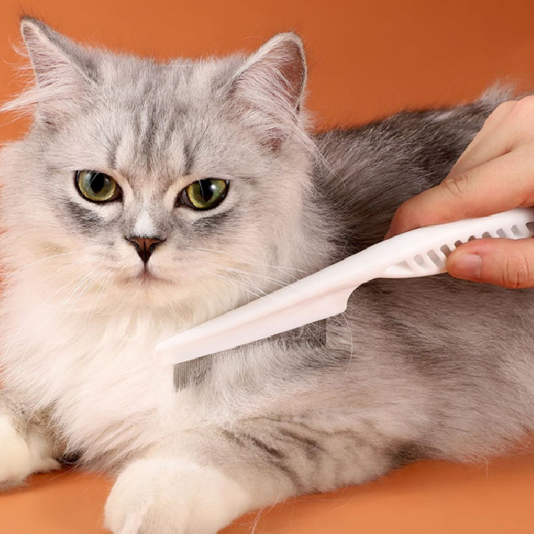 4�ĥ��å� �ڥå��� �Υ߼�ꥳ���� �� ǭ �Υ߼�� ���� ������ �֥饷 ���ƥ�쥹 �֥�å��� �� ���� �ͥ� ȴ���Ӽ�� ���꡼�ʡ� ���� ��Ĥ��� �ȥ�ޡ� �ޥå����� ȩ�ˤ䤵���� �ڤ߻ߤ� �ڥå����� ����̵��