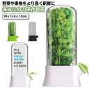 鮮度保持 ケース 野菜 鮮度キープ 保存容器 フレッシュキープ 野菜ストッカー 野菜 フルーツ 果物 新鮮 保存 長持ち 保存 ボックス 長期保存 鮮度 保持 ケース 省スペース コンパクト キッチン用品 台所用品 送料無料