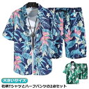 アロハシャツ+短パン セットアップ メンズ 半袖シャツ 夏服 夏物 ショートパンツ 上下セット 花柄 Tシャツ ハーフパンツ 大きいサイズ 総柄 花柄シャツ カジュアルシャツ 男性シャツ ハワイ風シャツ ビーチシャツ 2点セット リゾート 海辺 サーフ系 通気性 軽量 送料無料