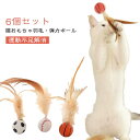 6個セット 猫おもちゃ 弾力ボール 羽毛 ボール 猫じゃらし 噛む 歯磨き 猫の玩具 ねこ おもちゃ 運動不足解消 ストレス解消 ペットおもちゃ キャットおもち...