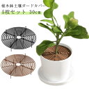 植木鉢グリッド ガードカバー 5枚セット プロテクターキャット 植物ポットカバー 植物土壌グリッドカバー 猫犬掘り防止 植木鉢カバー 植物 屋内 屋外 フラワー ABSプラスチック製 5枚セット 犬 猫掘りストッパー 盆栽 プランター メッシュ 排水 土壌保護