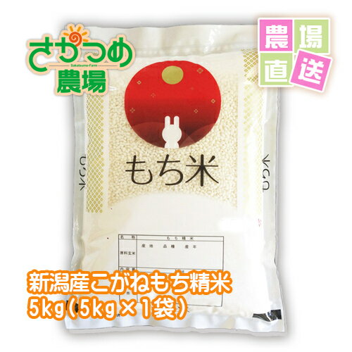 令和3年新潟産こがねもち精米5kg(5kg袋)