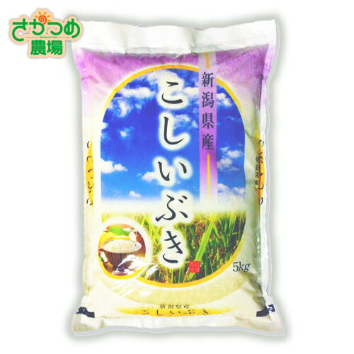 令和3年新米！新潟産こしいぶき精米10kg(5kg×2)