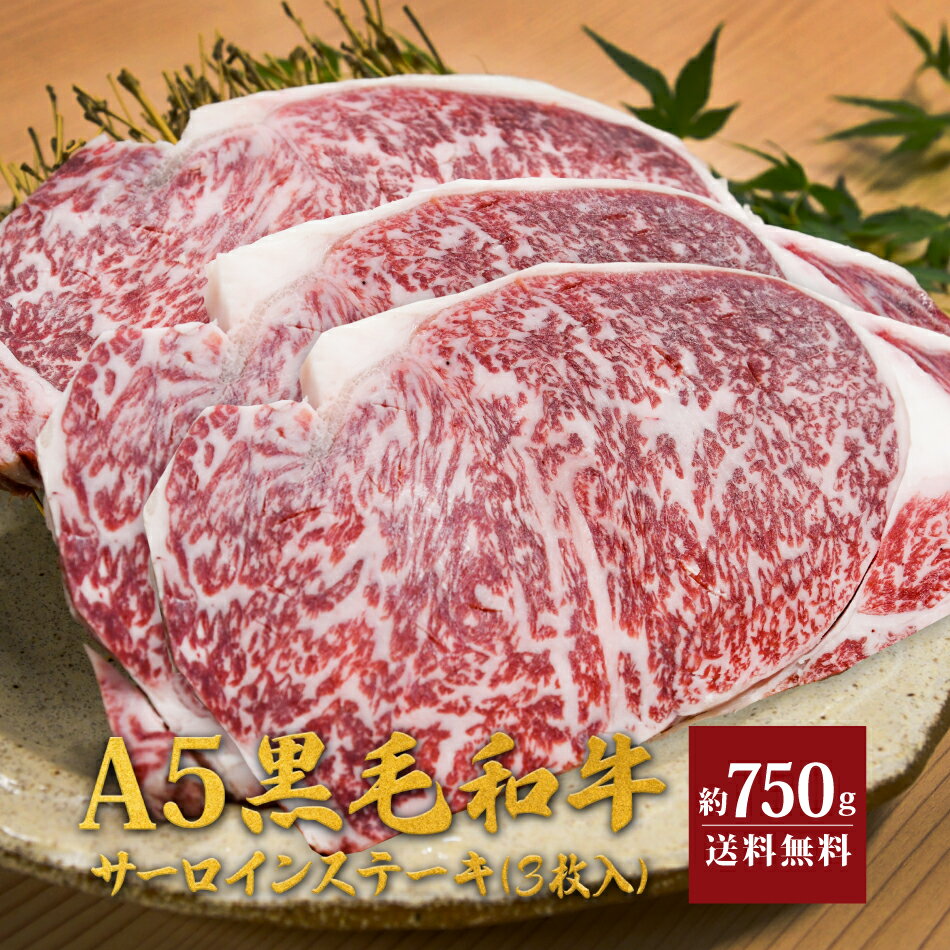 天草黒牛 黒毛和牛 サーロイン ステーキ A5 約750g（3枚入）肉 ギフト プレゼント 贈答用 送料無料 冷凍 酒湊 贈答 …