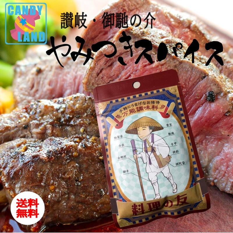 スパイス 塩 業務用 人気 やみつき 料理の友アウトドア キャンプ バーベキュー 肉 スパイス 香辛料 万能調味料 焼き肉 薬味 送料無料 人気 BBQ エコパック サラダ