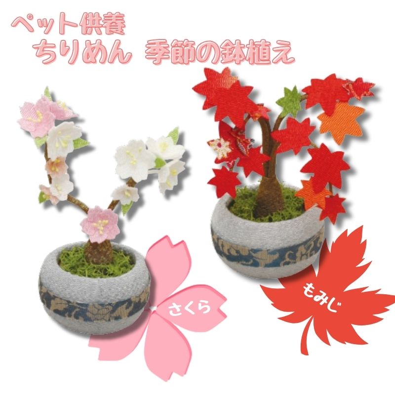 季節の鉢植え ちりめん 桜 もみじ ペット 仏具 供養 お悔み 犬 猫 お供え お香 かわいい ペットロス 贈り物 プレゼント メモリアルグッズ ステージ