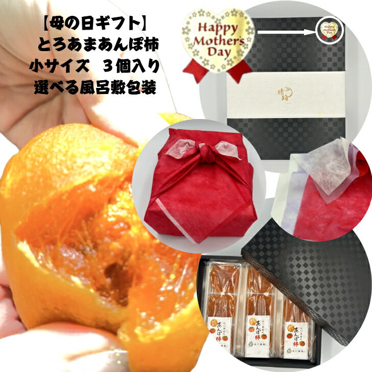 【母の日ギフト】 奈良県西吉野産刀根早生柿使用 坂口農園 【とろあまあんぽ柿】 小サイズ 化粧箱入り 9個 18個 贈答用 のし対応 贈り物 お祝い プレゼント 手土産 お返し ドライフルーツ 女性 70代 60代 80代オシャレ 可愛い 包装 冬ギフト バレンタインデー ホワイトデー