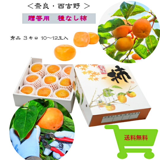 【奈良県西吉野産たねなし柿】＜贈答用に最適！＞(秀品)3.0kg化粧箱入り 10〜12玉 10月1日より順次発送 種なし柿 たねなし柿 予約 訳あり 産地直送 柿 早割り お買い得 秋 農家直送 名産 送料無料 果物 フルーツ 国産 刀根早生 五條市 優品