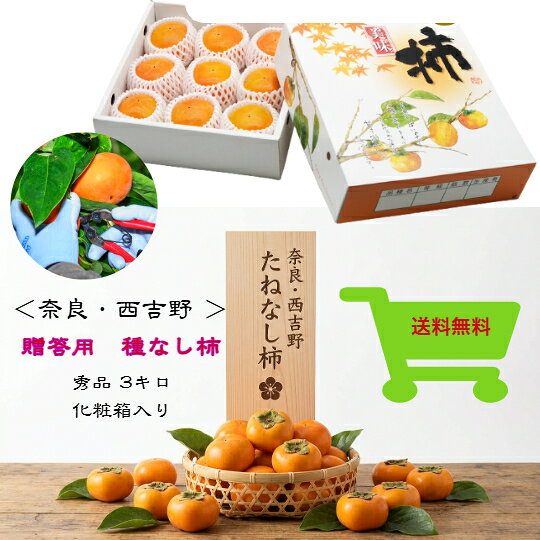 商品情報名称たねなし柿産地名奈良県産内容量3キロ保存方法常温または冷蔵庫で保存備考遺伝子組換えではありません【奈良県西吉野産たねなし柿】＜化粧箱入りで贈答用に最適！＞(秀品)3.0kg化粧箱入り 10〜12玉 10月1日より順次発送 種なし柿 たねなし柿 予約 産地直送 柿 早割り お買い得 秋 農家直送 名産 送料無料 果物 フルーツ 国産 刀根早生 五條市 プレゼント 贈り物 旬 柿の名産地西吉野から採れたてをお届け！！日が経つほど甘みは強く、果肉は柔らかくなります。スライスにしてサラダや柿なますにしても美味しくお召し上がりいただけます。 5