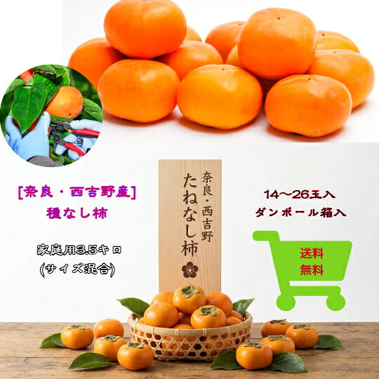 楽天市場】西吉野 柿の通販