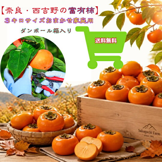 商品情報名称富有柿産地名奈良県産内容量3キロ保存方法冷暗所で保存備考遺伝子組換えではありません【奈良・西吉野の富有柿】家庭用サイズおまかせ3キロ 段ボール箱入り 産地直送 秋の味覚 農家直営 甘柿 名産品 訳あり お買い得 早割 お試し かき 五條市 ビタミンC カロテン 二日酔い 「柿の王様」とも言われる甘柿です。種は個体差により、入っている場合があります。バリっとした食感と噛むほどに、旨味が口いっぱいに広がります。 5