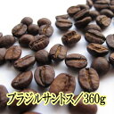 コーヒー豆 送料無料 お試し 珈琲 