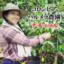 スペシャルティコーヒー・コロンビア・ハシエンダ・ラ・パルメラ農園・ナチュラル