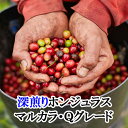スペシャルティコーヒー・深煎り・ホンジュラス・マルカラ・Qグレード