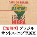プレミアムコーヒー ブラジル・サントス・ニブラ18M 400g 40杯分 コーヒー豆 送料無料 お試し 珈琲 楽天 買い回り 買いまわり ポイント消化
