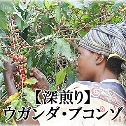 スペシャルティコーヒー 【深煎り】ウガンダ・ブコンゾ生産者組合