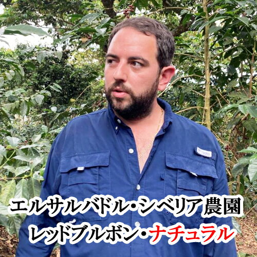 スペシャルティコーヒーエルサルバド...