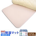 【日本製】さらっとファインセンサー付除湿マットセミダブルサイズスタンダードタイプ532P26Feb1610P13oct13【RCP】【a_b】【吸湿マット湿気取...