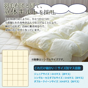 ダクロン(R)コンフォレル(R)シルキーソフト中綿使用洗える掛け布団シングルサイズ【送料無料洗える寝具洗える布団掛布団洗えるふとん】10P13oct13_b【RCP】【smtb-kd】fs2gm