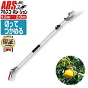 アルス160ZTR-2.0-3D 伸縮式 高枝鋏 ズームチョキチルトR・採収タイプショート (最短1.3~最長2.0m) JAN:4965280684530 高枝鋏
