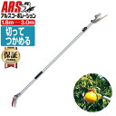 アルス160ZTR-3.0-5D 伸縮式 高枝鋏 ズームチョキチルトR・採収タイプロング (最短1.8~最長3.0m) JAN:4965280684547 高枝鋏