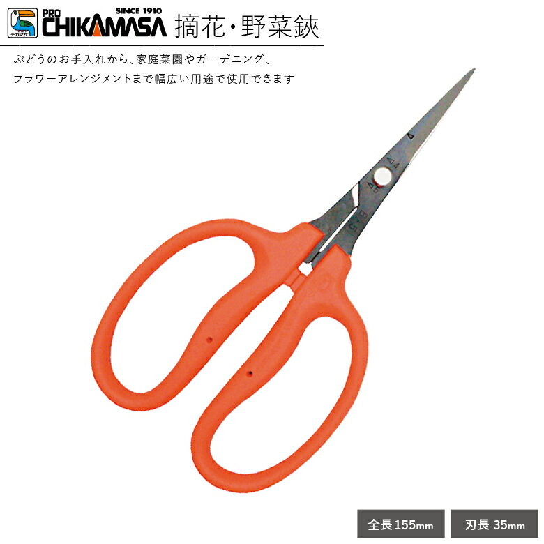 近正 チカマサ B-500H 摘花 野菜鋏細工 野菜 果物 花 収穫 能格 はさみ ハサミ 鋏 メール便のサムネイル