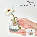 花瓶 ウォーターキープベース 抗菌 フラワーベース