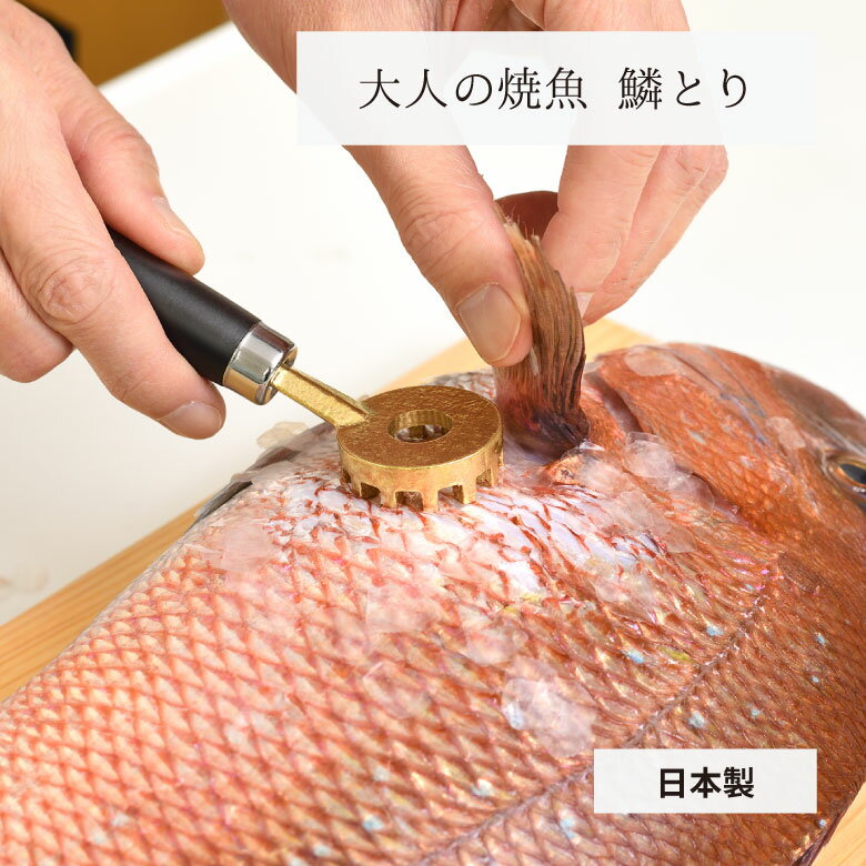 ウロコ取り 大人の焼魚 鱗とり 日本製