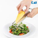 貝印 DH3149 セレクト100 グレーター チーズ ニンニク にんにく 生姜 ゆず おろし おろし器