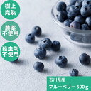 石川県産 冷凍 ブルーベリー 無農薬 殺虫剤不使用 国産 大容量 安心 品質 500g 1kg 金沢 ブルーベリー農園 ちはらファーム 冷凍フルーツ