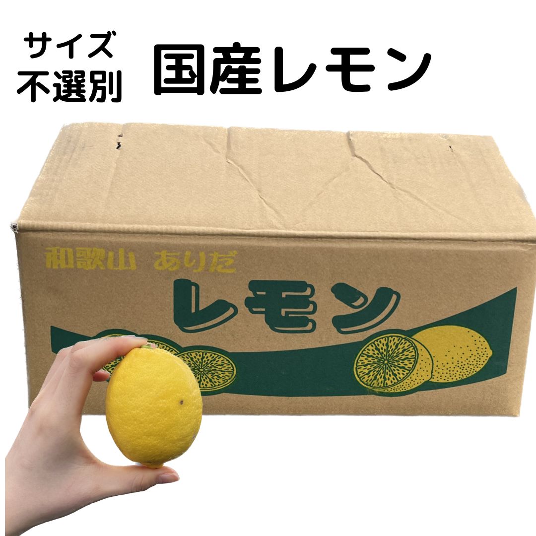 【国産レモン】 皮ごと使える 愛媛県 和歌山県 広島県 2．5kg 5kg 送料無料