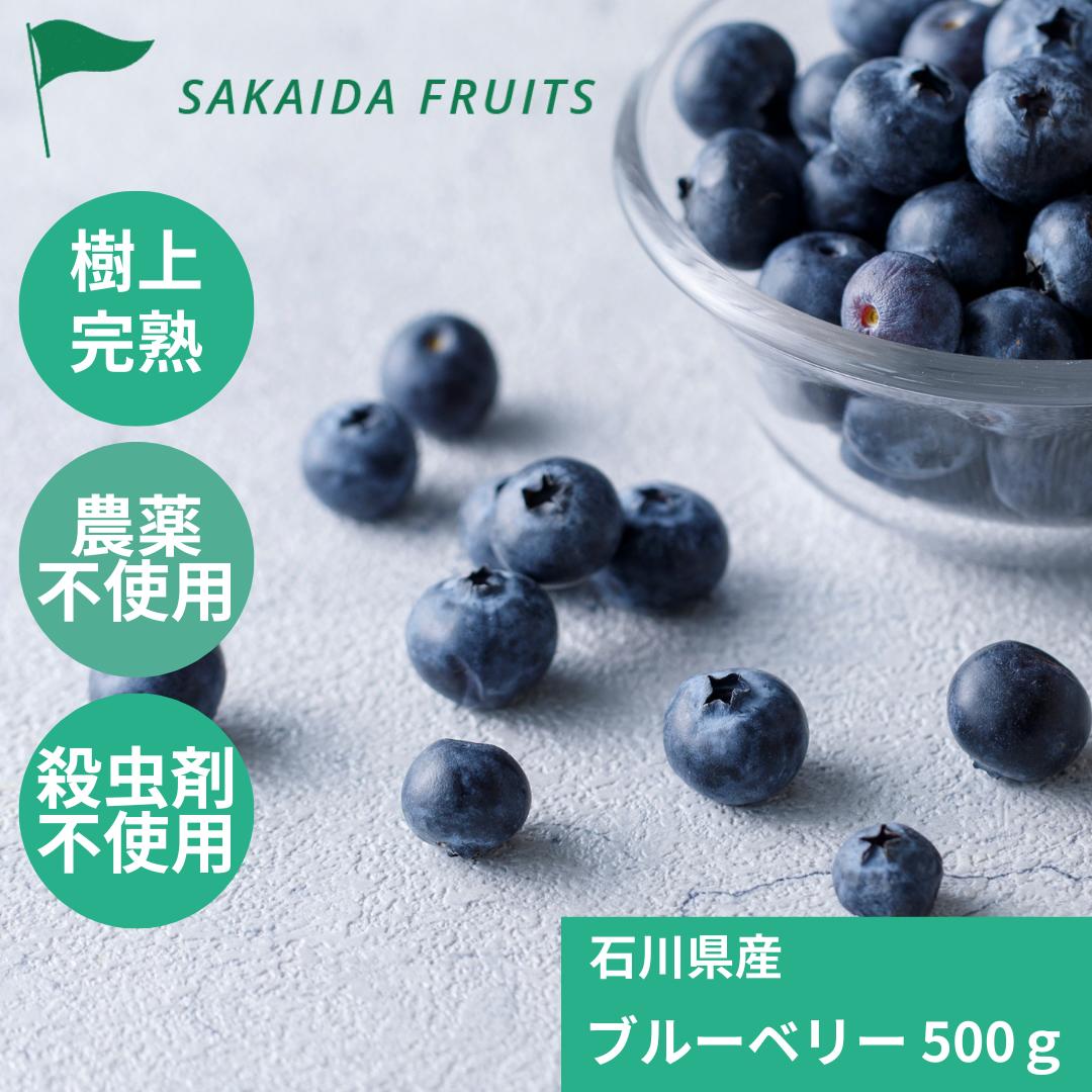 冷凍 ブルーベリー 石川県産 無農薬 殺虫剤不使用 国産 大容量 安心 品質 500g 1kg 金沢 ブルーベリー農園 ちはらファーム 冷凍フルーツ 冷凍ブルーベリー 国産ブルーベリー 石川応援