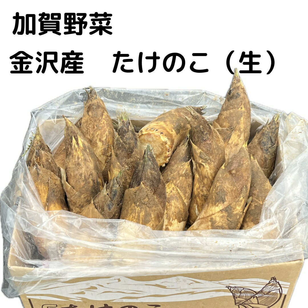 楽天市場】たけのこ 5kgの通販 楽天市場】たけのこ 5kgの通販