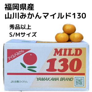 【山川みかんマイルド130】福岡県産　高糖度　みかん　フルーツ　お取り寄せ　ギフト　贈答用　旬　厳選　果物　送料無料