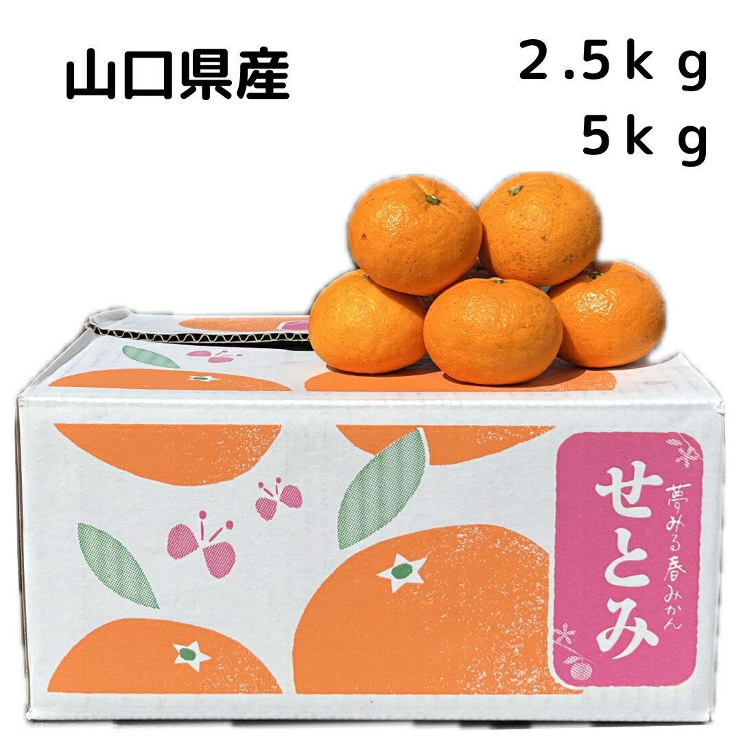 【せとみ】山口県　オリジナル柑橘　夢見るみかん　手でむける　春のみかん　果物　フルーツ　ギフトのサムネイル