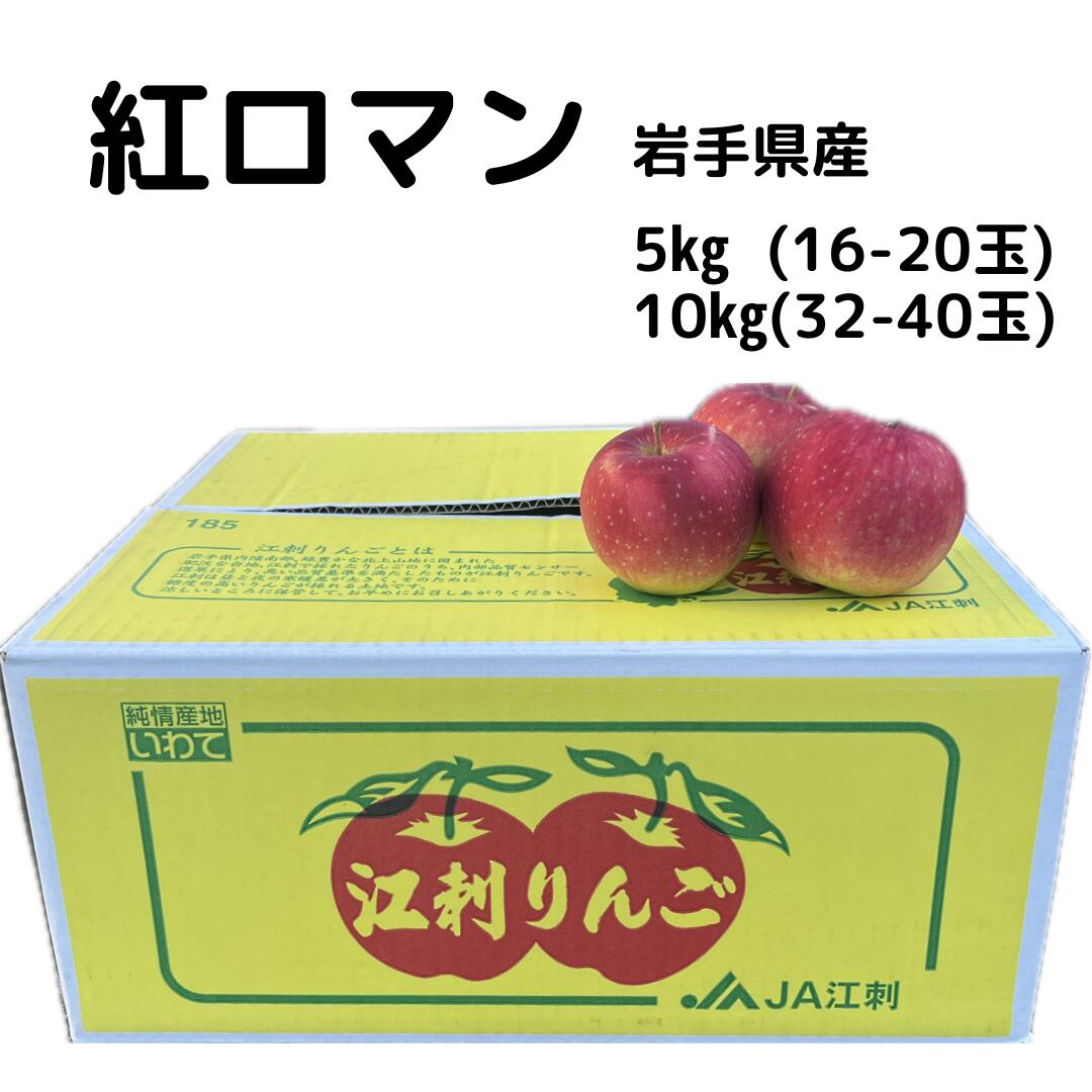 紅ロマン 岩手県産 5kg 10kg 夏 りんご 早生品種 フルーツ 果物 お取り寄せ ギフト サカイダフルーツのサムネイル