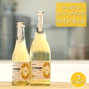 ワイン ギフト おしゃれ 【マンダリンスパークリングワインセット】 750ml×1本 375ml×1本 さかいまちワイナリー 母の日 父の日 ギフト 女子会 記...
