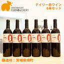 ワイン ギフト おしゃれ 【デイリー 赤ワイン 6本セット】 750ml×6本 さかいまちワイナリー 母の日 父の日 ギフト 記念日 ご褒美 赤ワイン 境町