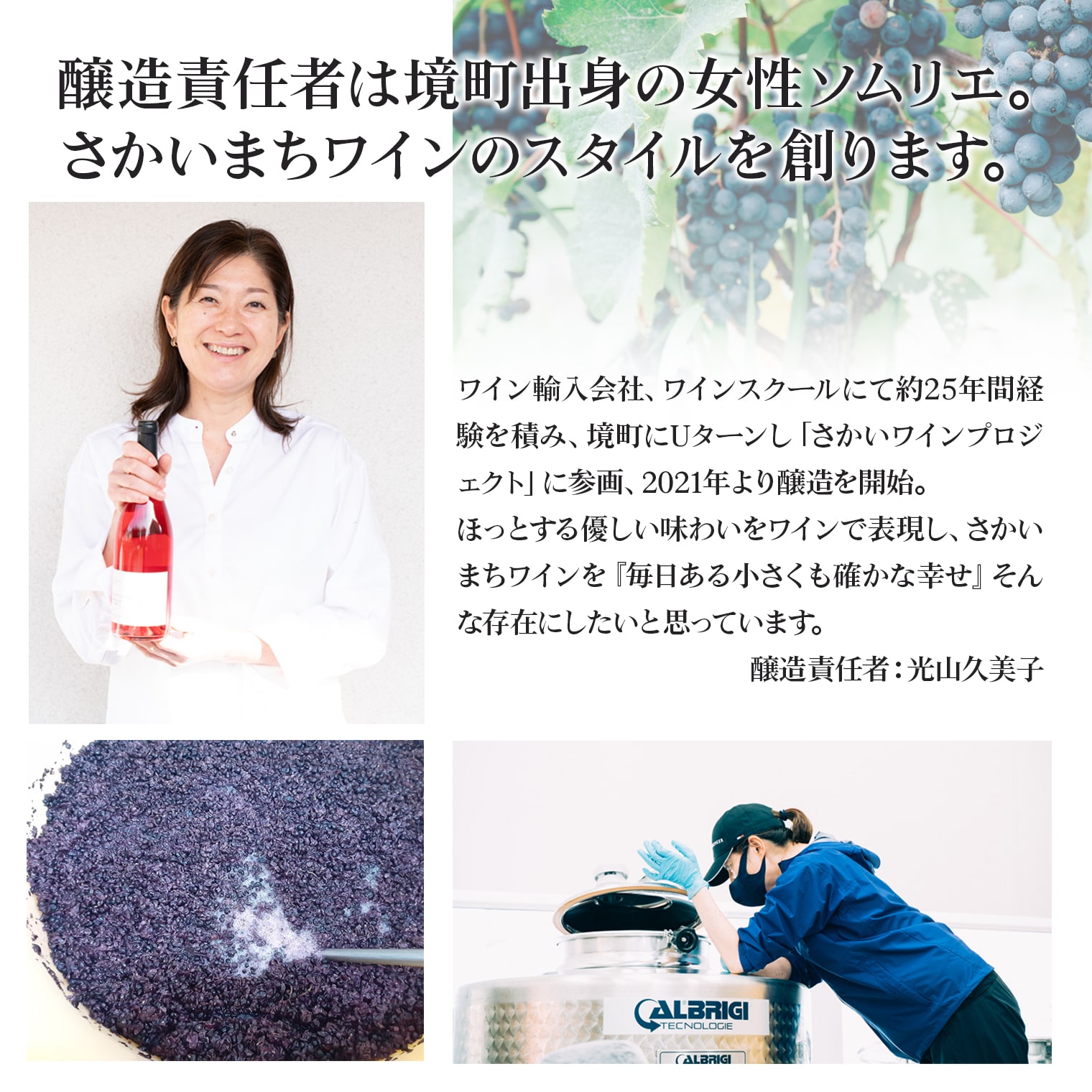 シードル 国産 330ml 【リンゴの果実酒 シードル 6本セット】330ml×6本 さかいまちワイナリー 母の日 父の日 ギフト 女子会 記念日 飲み比べ ご褒美 赤ワイン ロゼワイン 白ワイン フルーツワイン スパークリングワイン ハーフワイン 入社 お祝い 入社祝い sakaimarche-10000112 さかいマルシェ サンプル画像3