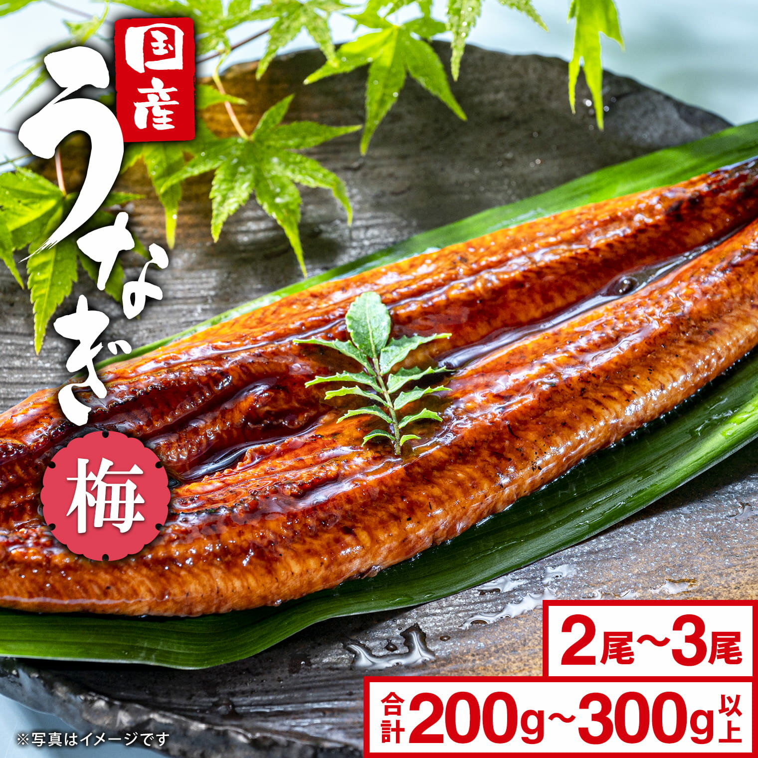 うなぎ 国産 鰻 ウナギ unagi かば焼き2尾～3尾 合計200g以上～300g以上「梅」長焼...