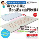 医療機器承認 磁気マット サンワイ商事(4)