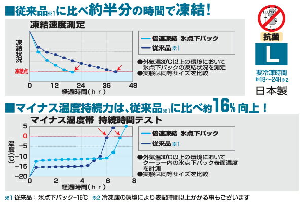 ロゴス 81660641・倍速凍結・氷点下パックL【キャンプ】 2