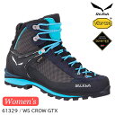 (S)T / 61329 / EBYNESAebNX(SALEWA WS CROW GTX)yoRCzyCgApCu[czygbLOV[YzyV[YفzyfB[Xzypz