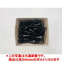 (2)六角穴付きボルト(M10x40mm)・クライミングホールド固定用ボルト【50個売り】【ボルダリング/クライミング】【ホールド/ルートセット/ボルダー壁】