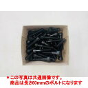 (2)六角穴付きボルト(M10x60mm)・クライミングホールド固定用ボルト【50個売り】【ボルダリング/クライミング】【ホールド/ルートセット/ボルダー壁】
