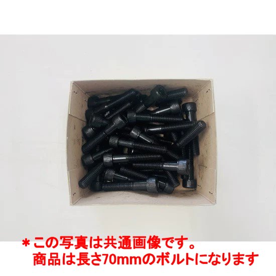 (2)六角穴付きボルト(M10x70mm)・クライミングホールド固定用ボルト【40個売り】【ボルダリング/クライミング】【ホールド/ルートセット/ボルダー壁】