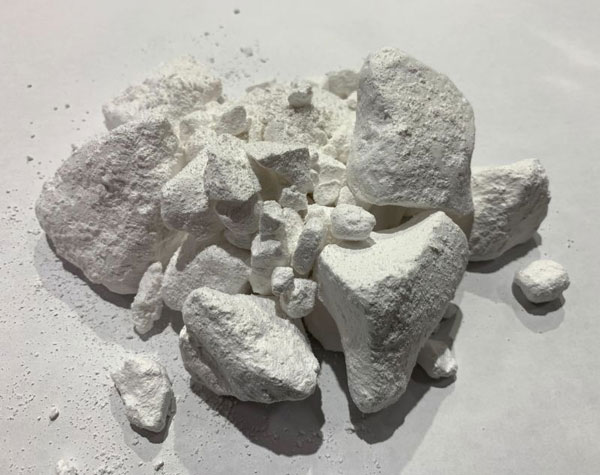 (C)GECKO ���å��� �쥮��顼 ���硼�� 200g �ڥ��饤�ߥ󥰥��硼�����ܥ����󥰥��硼���ۡڳ��ߤ�ۡ���ŹC��