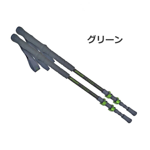 ピングイン ・カーボンFLフォーム(ペア)【30%OFF】【2本売り】【 I 型グリップ】【...