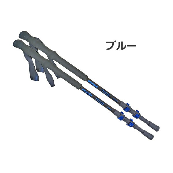ピングイン ・カーボンFLフォーム(ペア)【30%OFF】【2本売り】【 I 型グリップ】【...